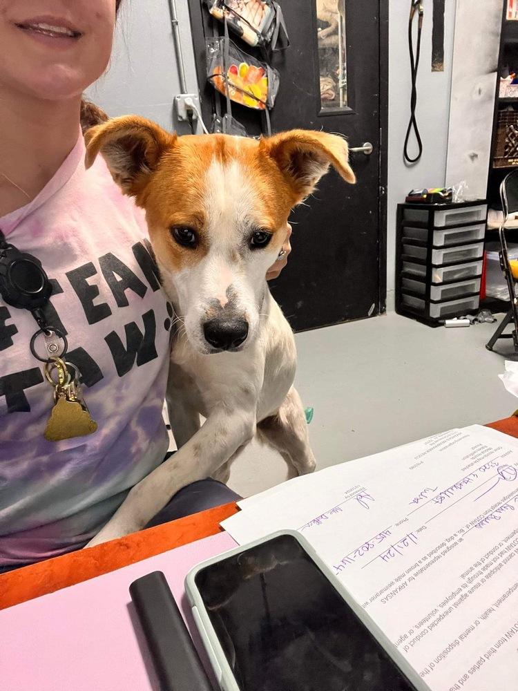 Catalina thumbnail 2