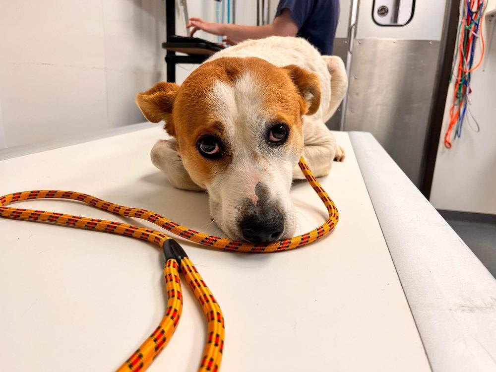 Catalina thumbnail 5