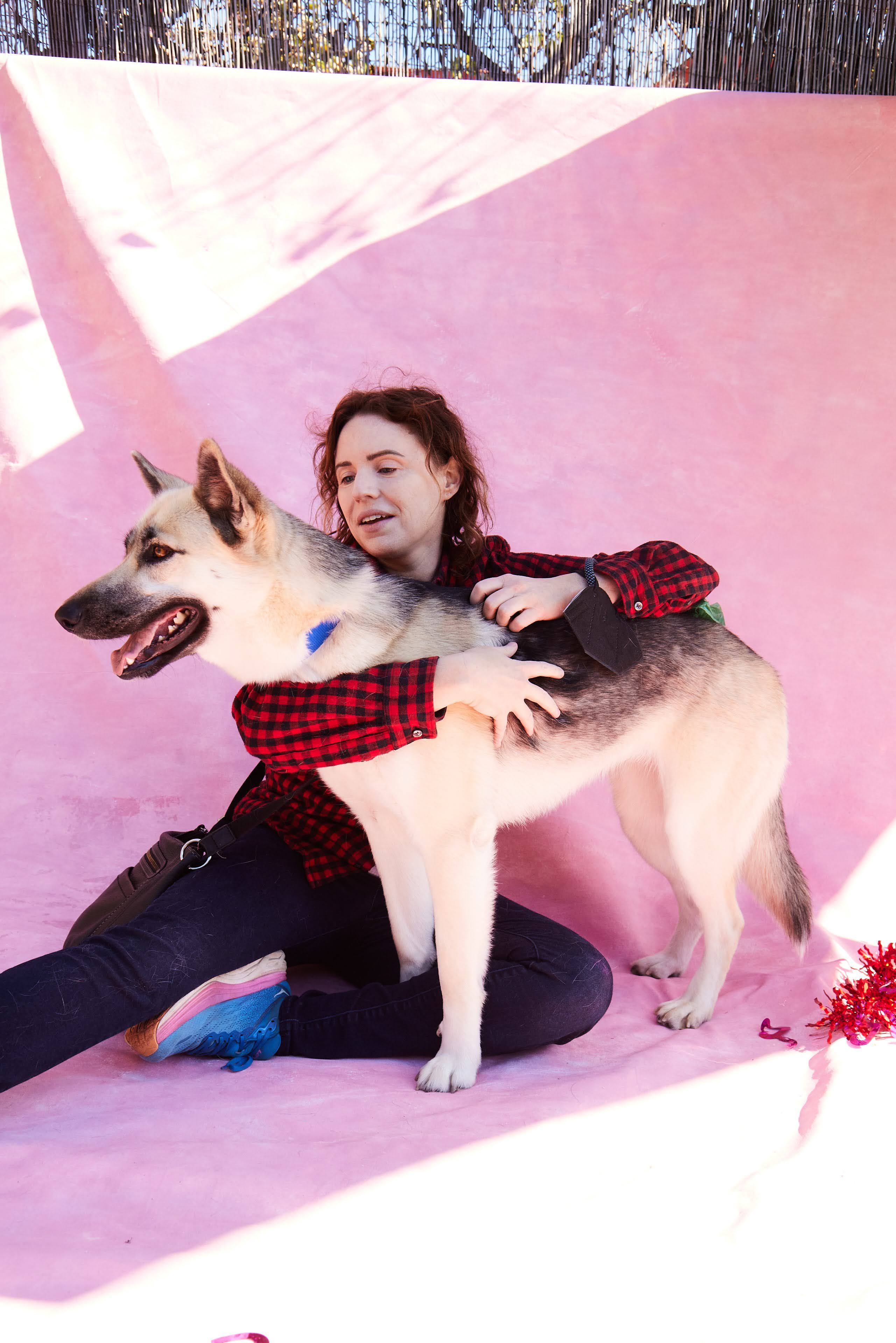 Milla, Adopted, Young Female Siberian Husky & Australian Shepherd.