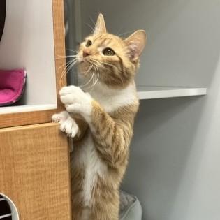 Potsy