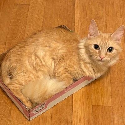 Sabrina 2 — thumbnail 3