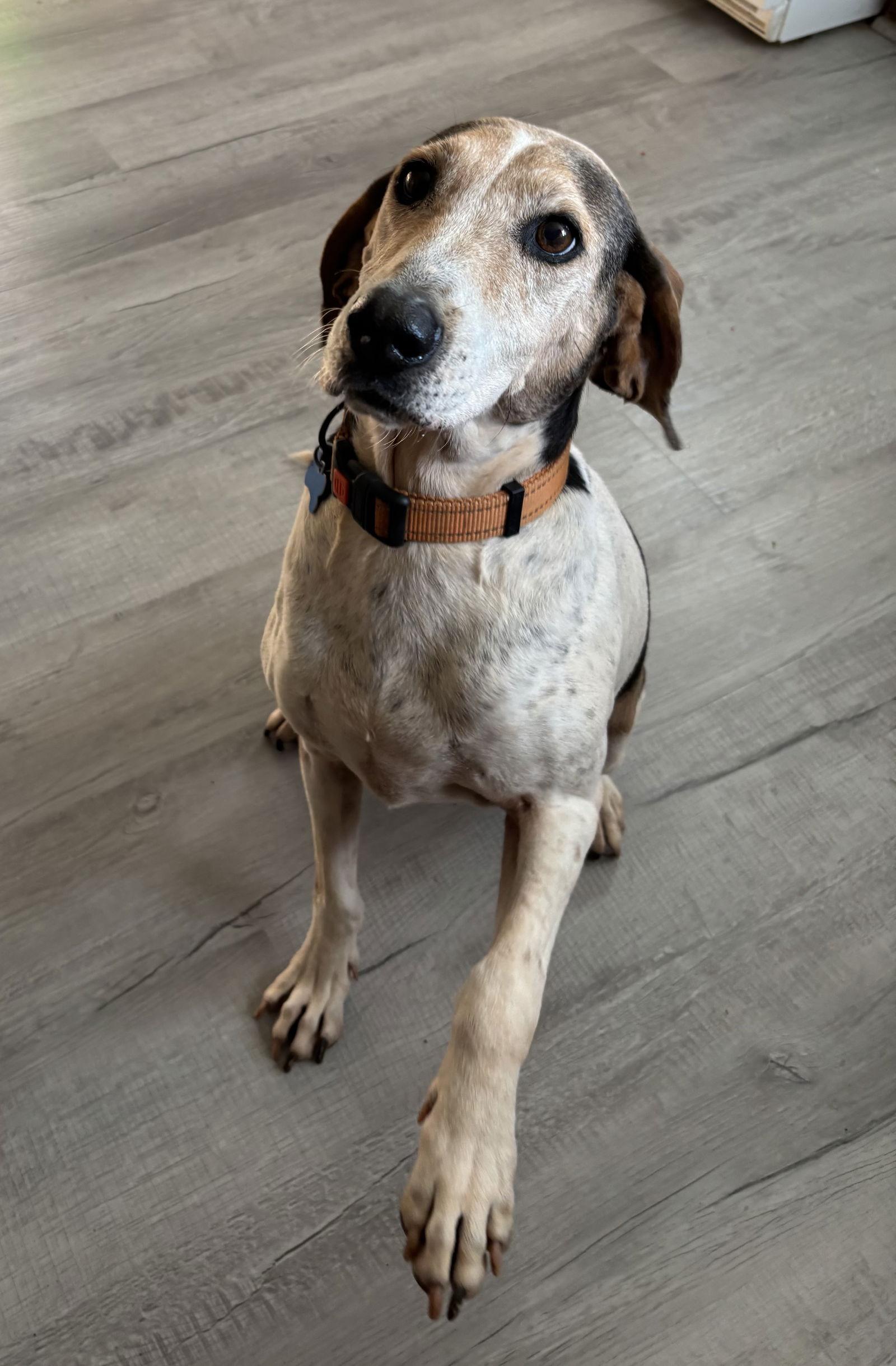 Tatum: Not at shelter (Wendy)