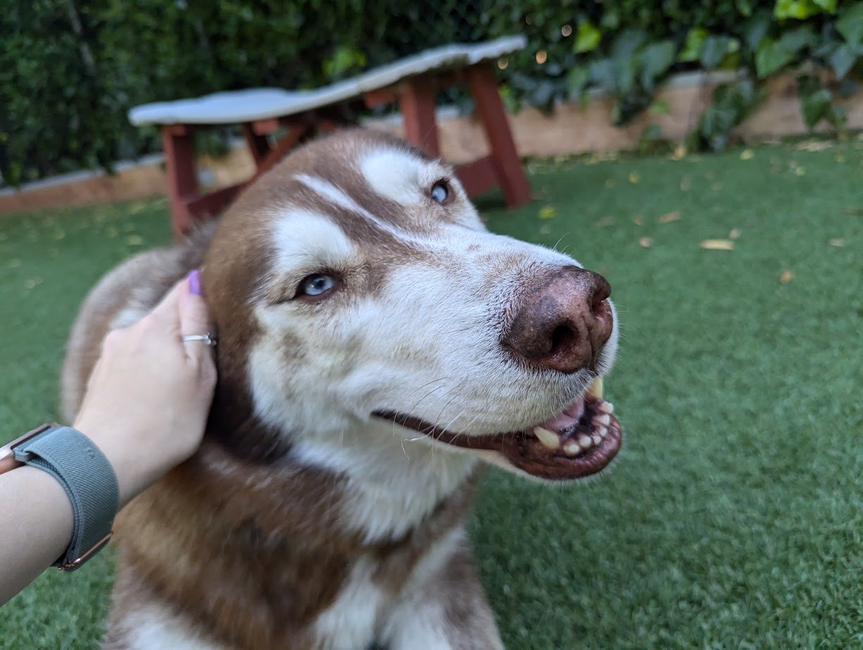 Odin photo 3
