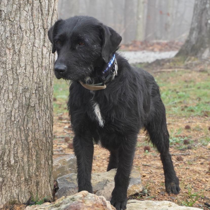 Maggie — thumbnail 3