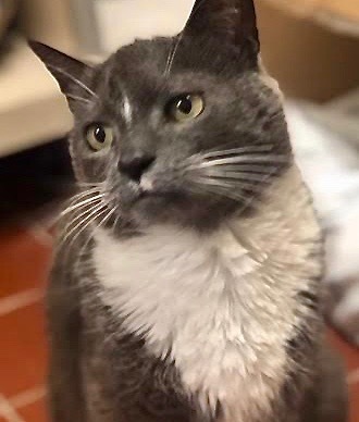 Mirage, Senior Female unknown