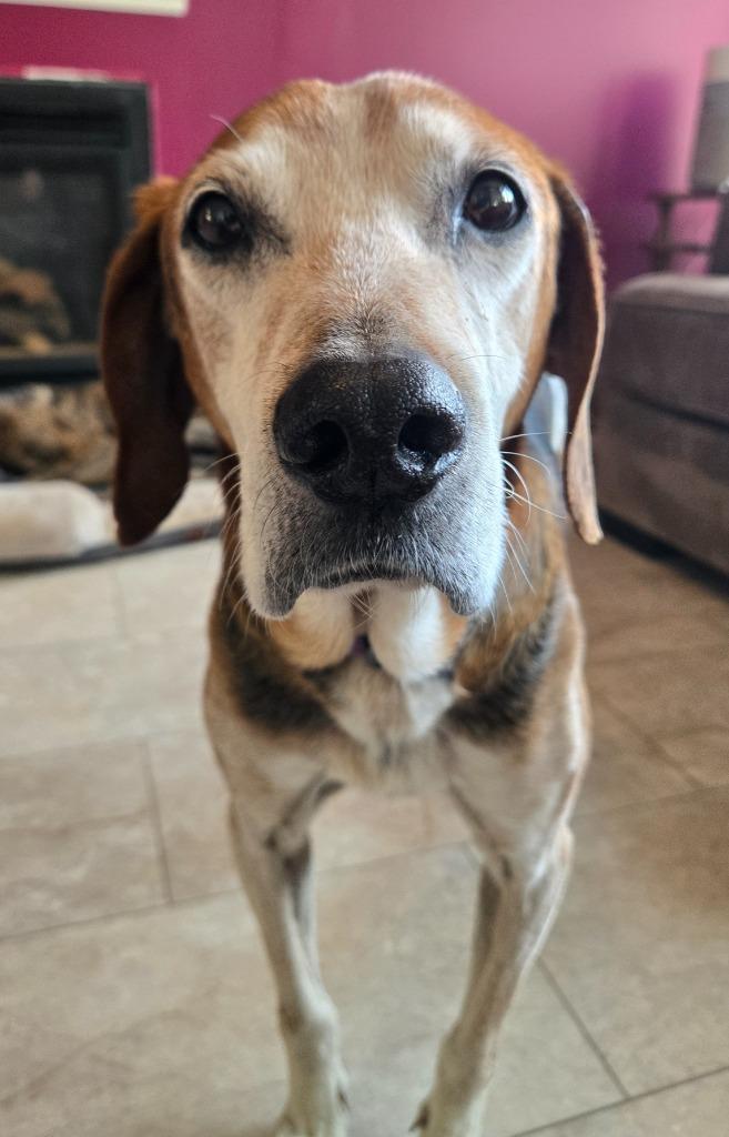 Gideon — thumbnail 3