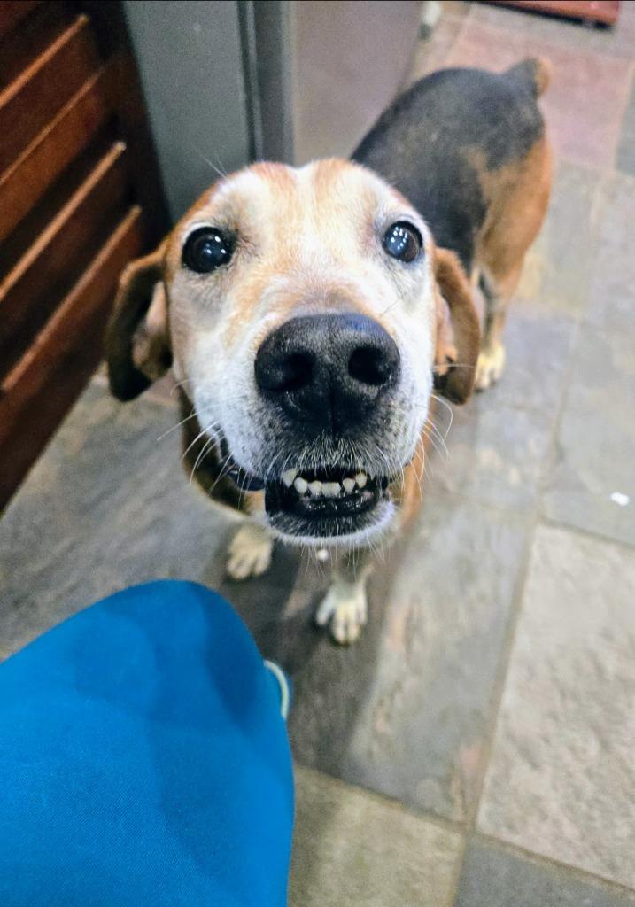 Gideon — thumbnail 4