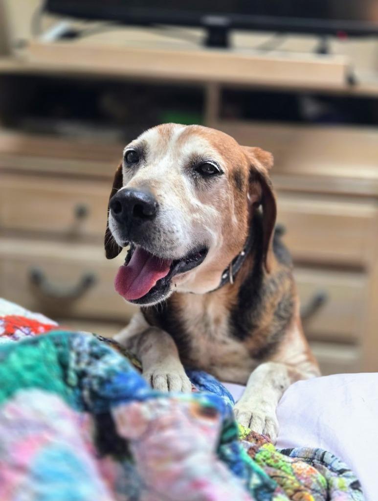 Gideon — thumbnail 5