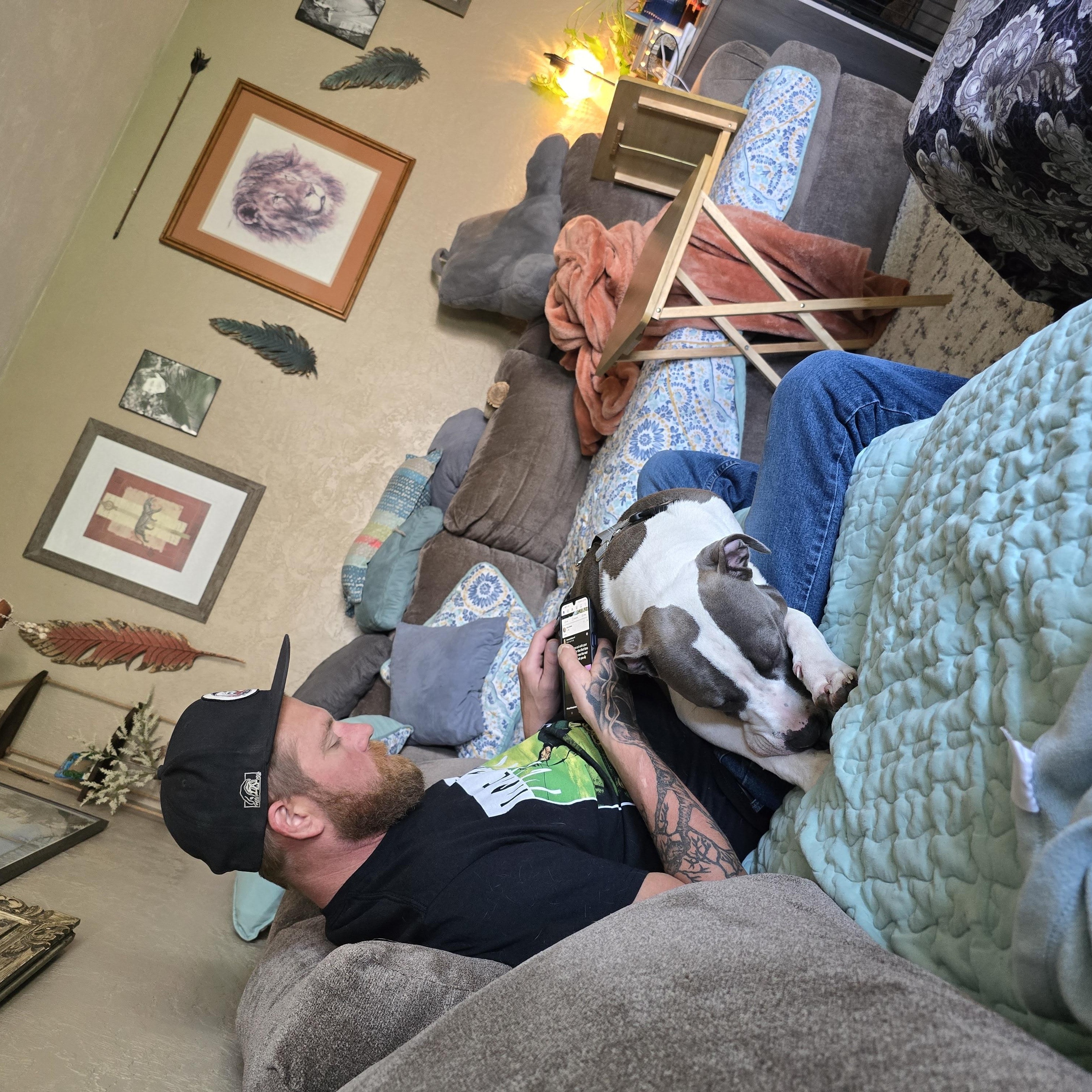 Brock, a Adoptable Pit Bull Terrier in Eugene, OR image 5/5