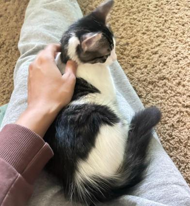 Daze — thumbnail 3