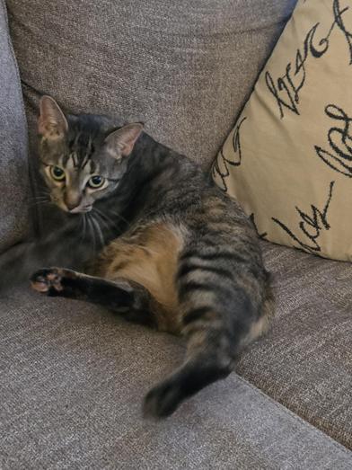 Mary Shelly thumbnail 4