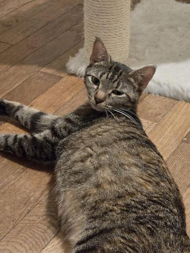 Mary Shelly thumbnail 5