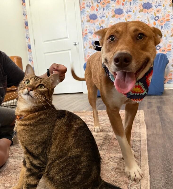 Winter Winnie Sugar Baby — thumbnail 4