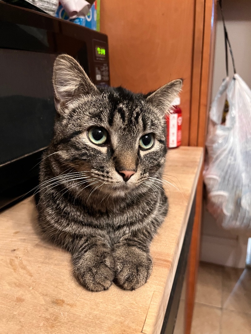 Max