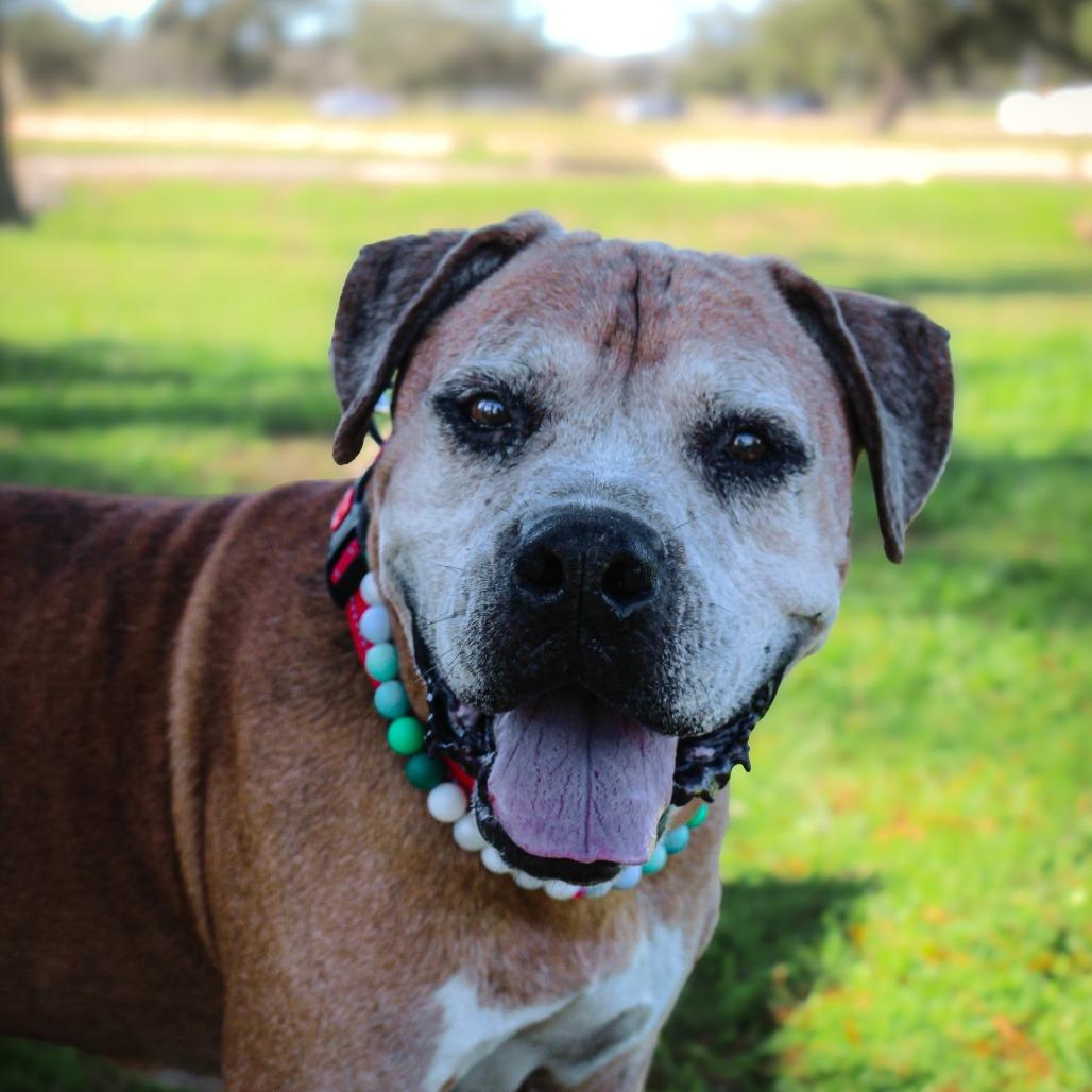 Mugsy — thumbnail 2