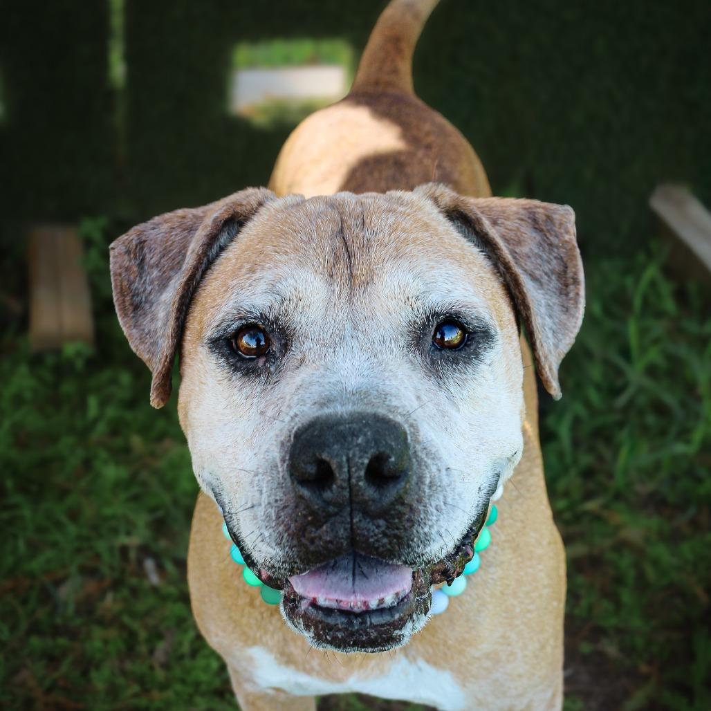 Mugsy — thumbnail 3