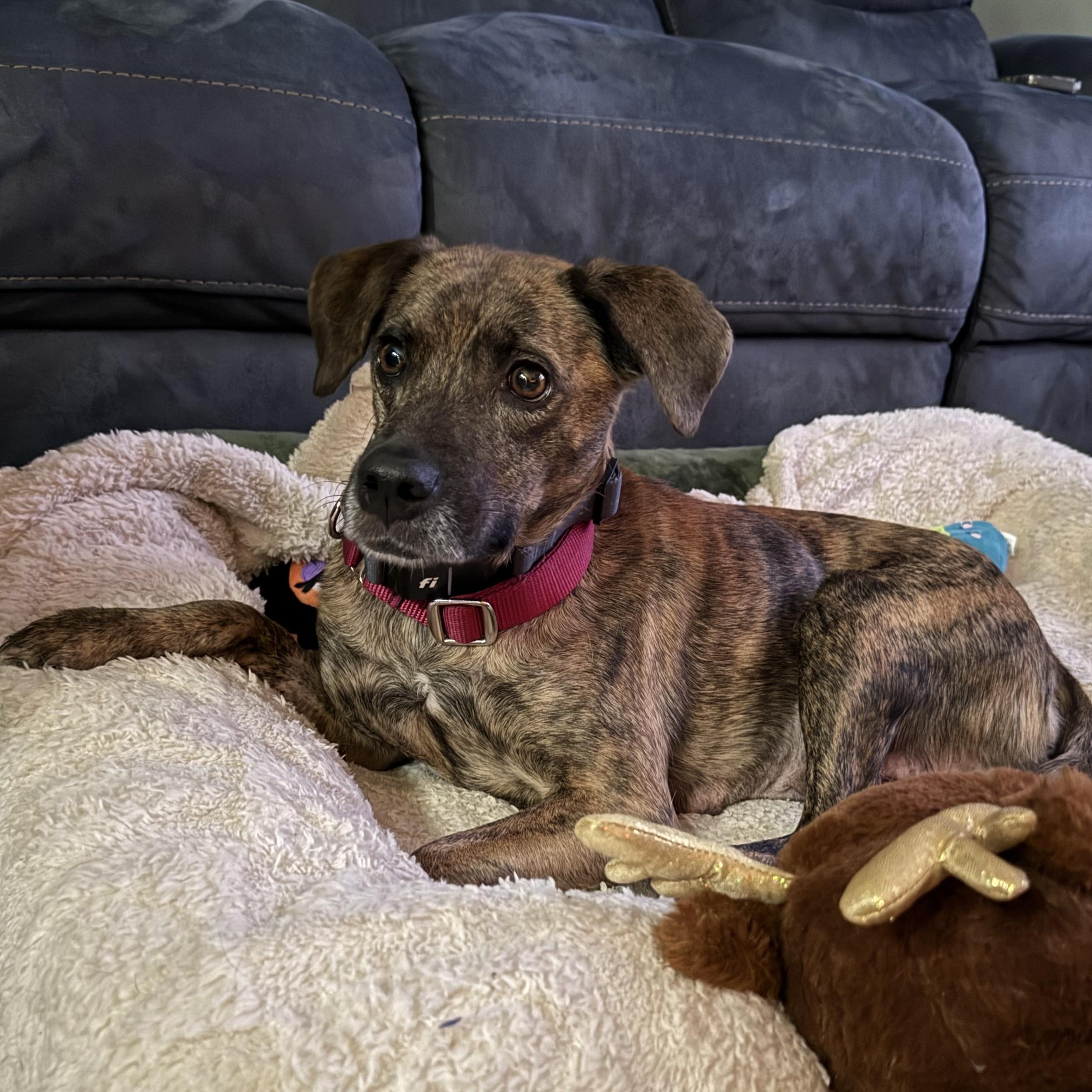 Mama Aurora  Local thumbnail 4