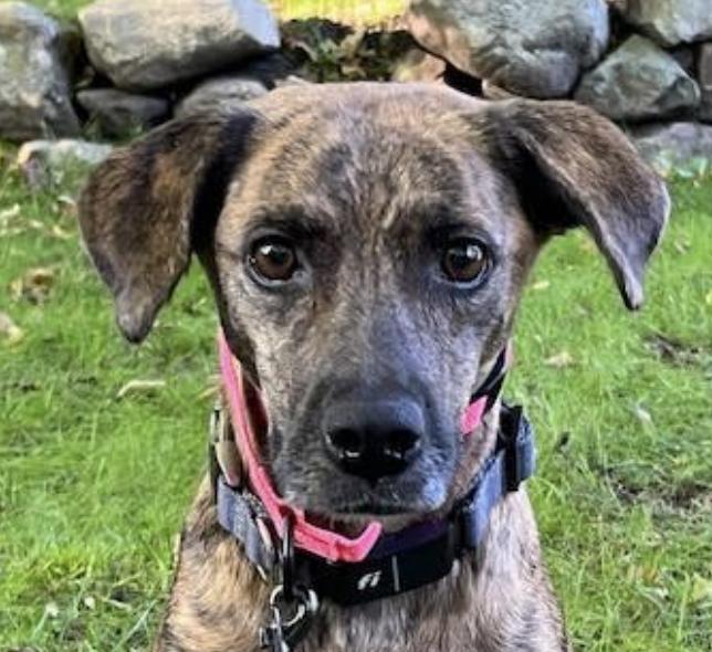 Mama Aurora  Local thumbnail 5