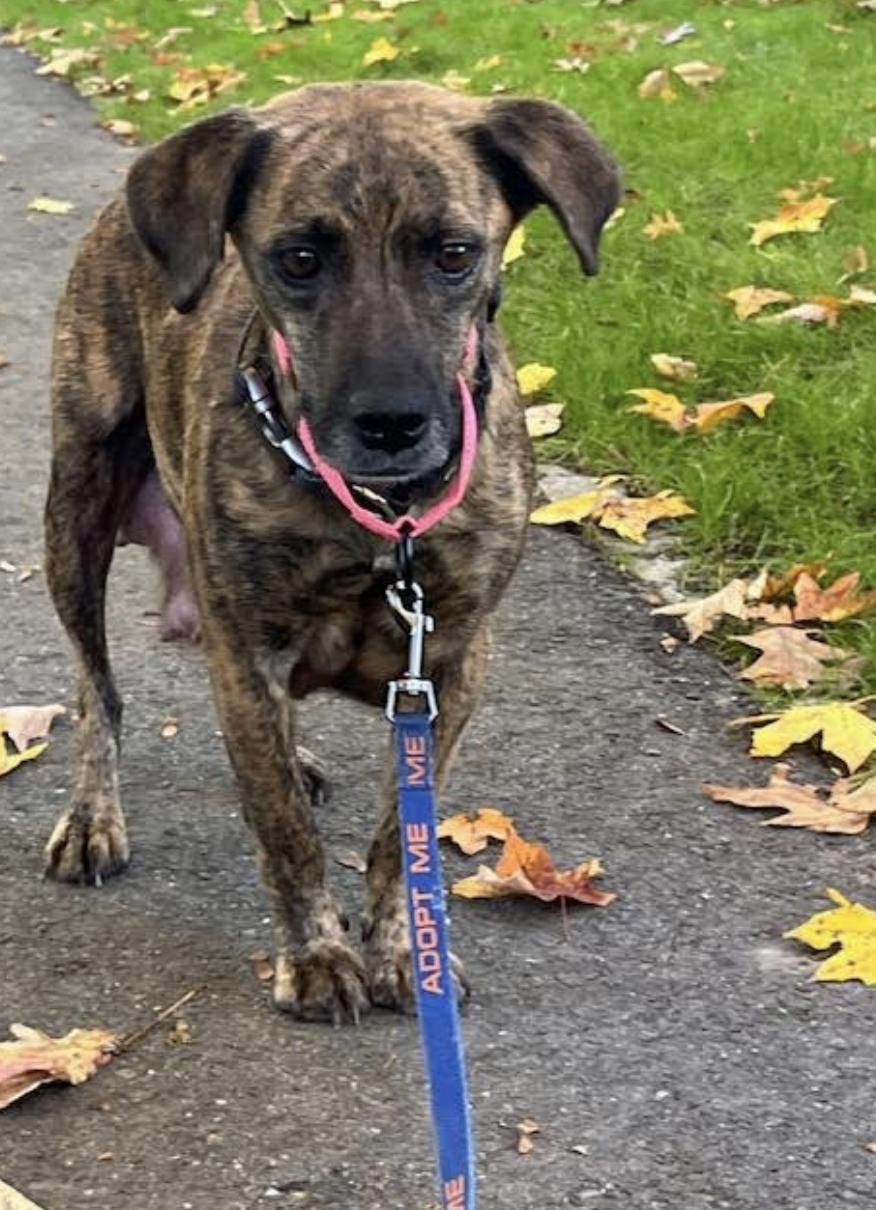 Mama Aurora  Local thumbnail 6