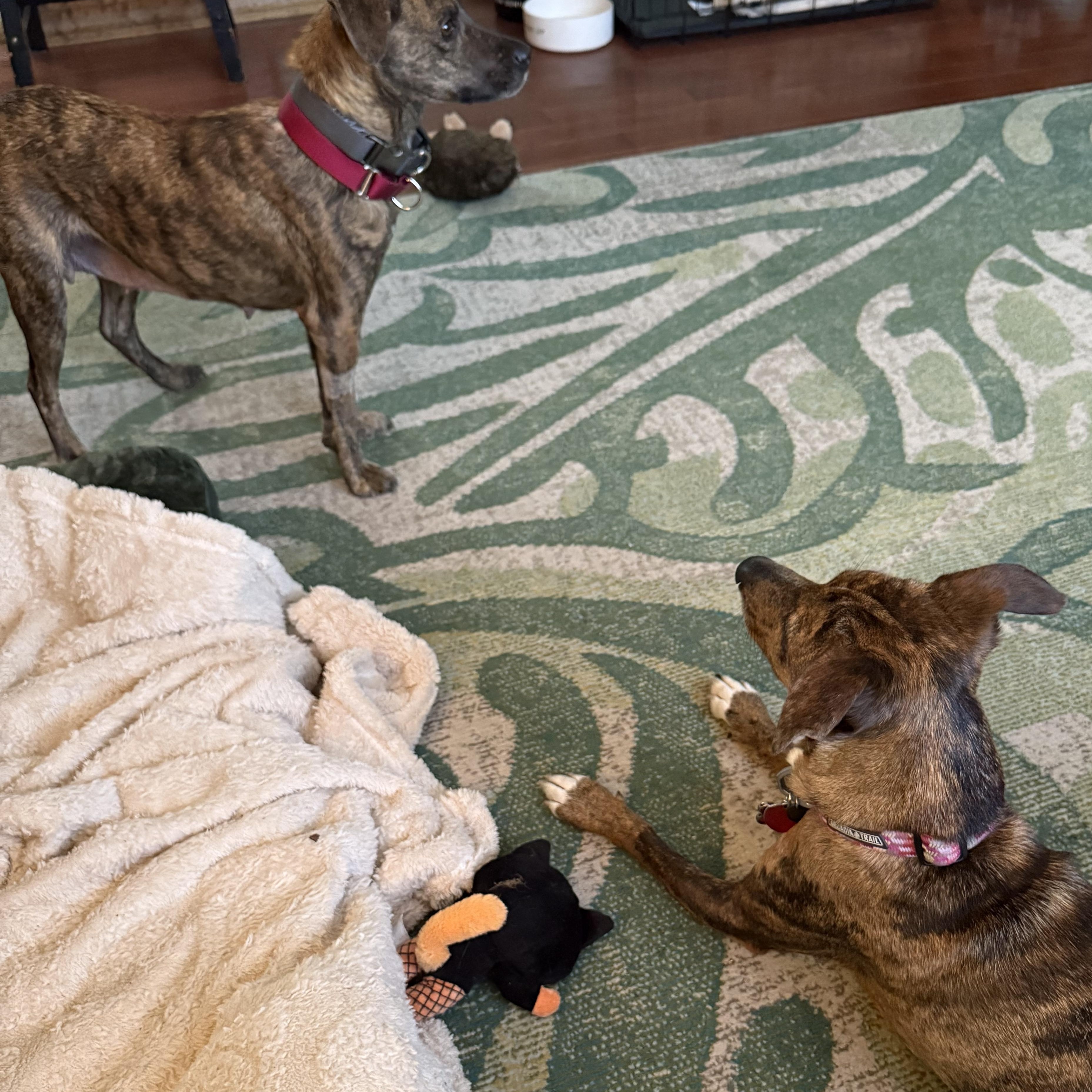 Mama Aurora  Local thumbnail 7