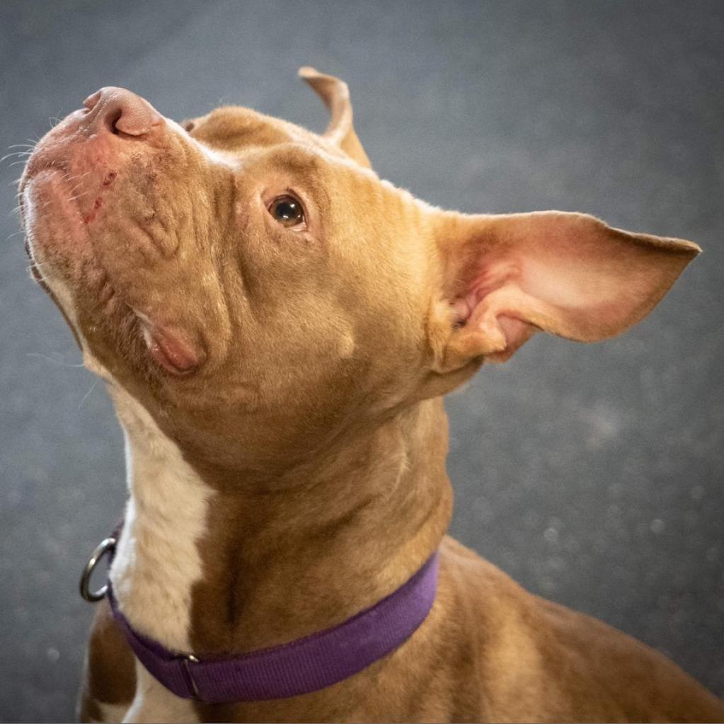 Nala Jean thumbnail 5