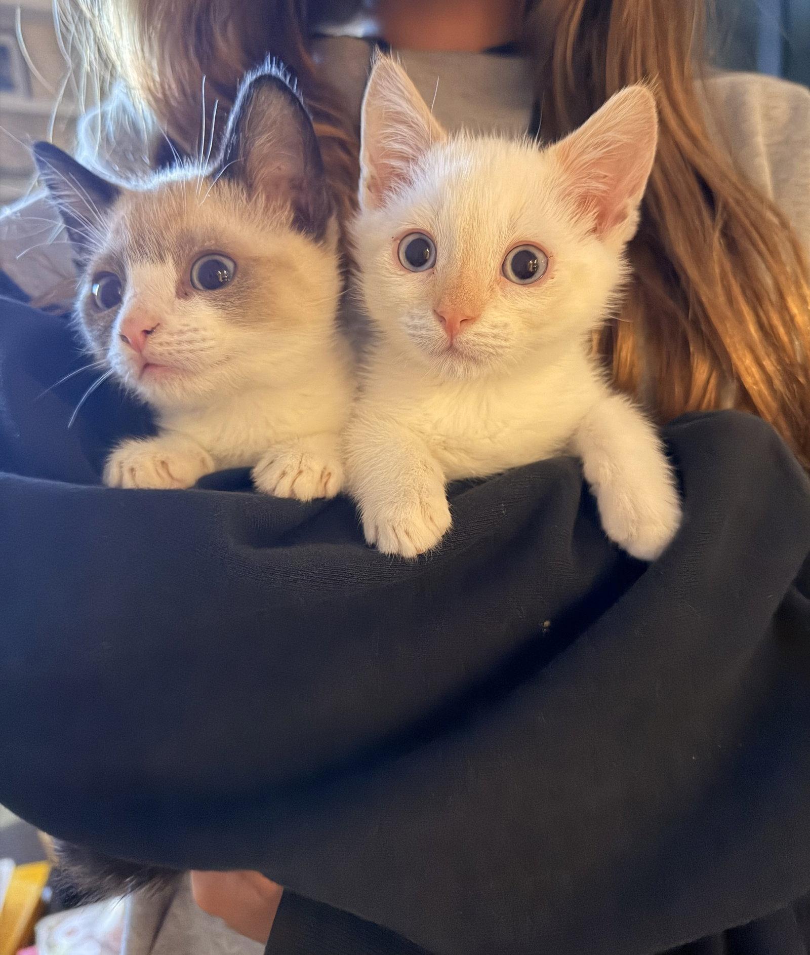 Steve and Reggie photo