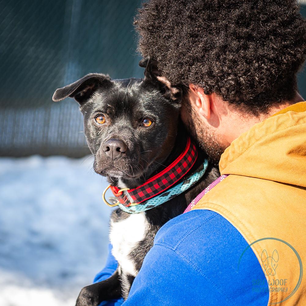 AC - Atlas — thumbnail 5