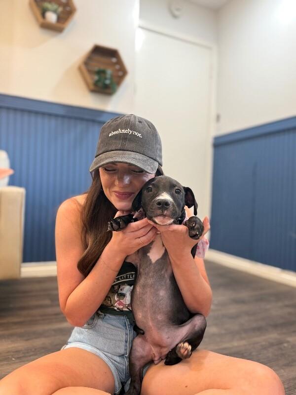 Silkie Chick — thumbnail 5