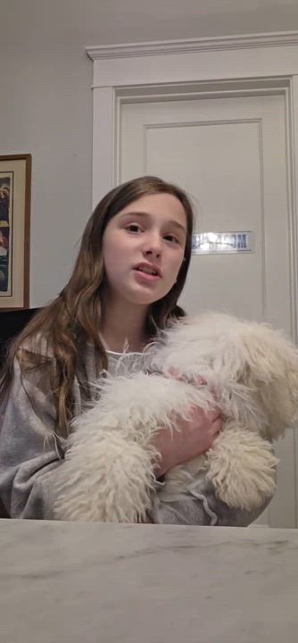 Enlarge Moonpie, a ADOPTABLE Maltipoo in Homer Glen, IL video 6/6