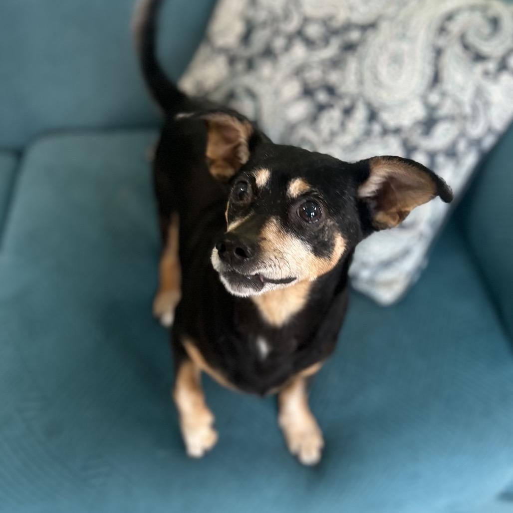 Franco — thumbnail 4