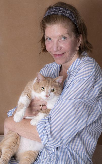 Enlarge Sparky, an adopted Domestic Short Hair in Chicago, IL image 5/5