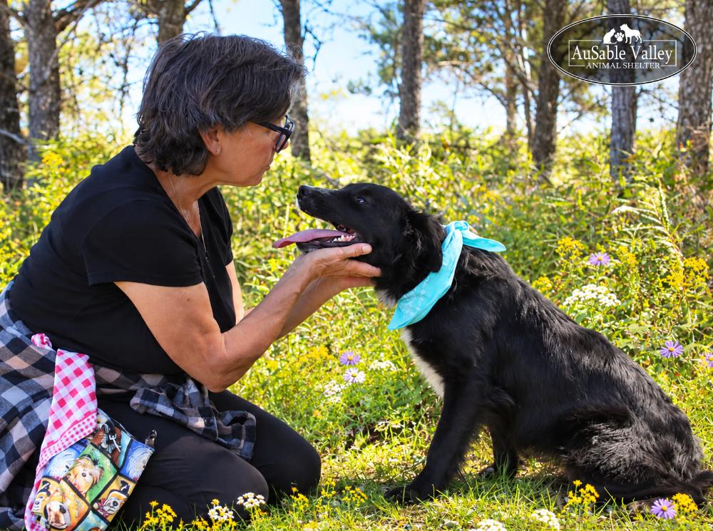 Enlarge Misha, a Adoptable mixed breed in Grayling, MI image 5/6