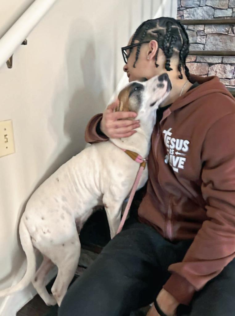 Enlarge Latte, a Adoptable Hound in Hartsville, SC image 4/6