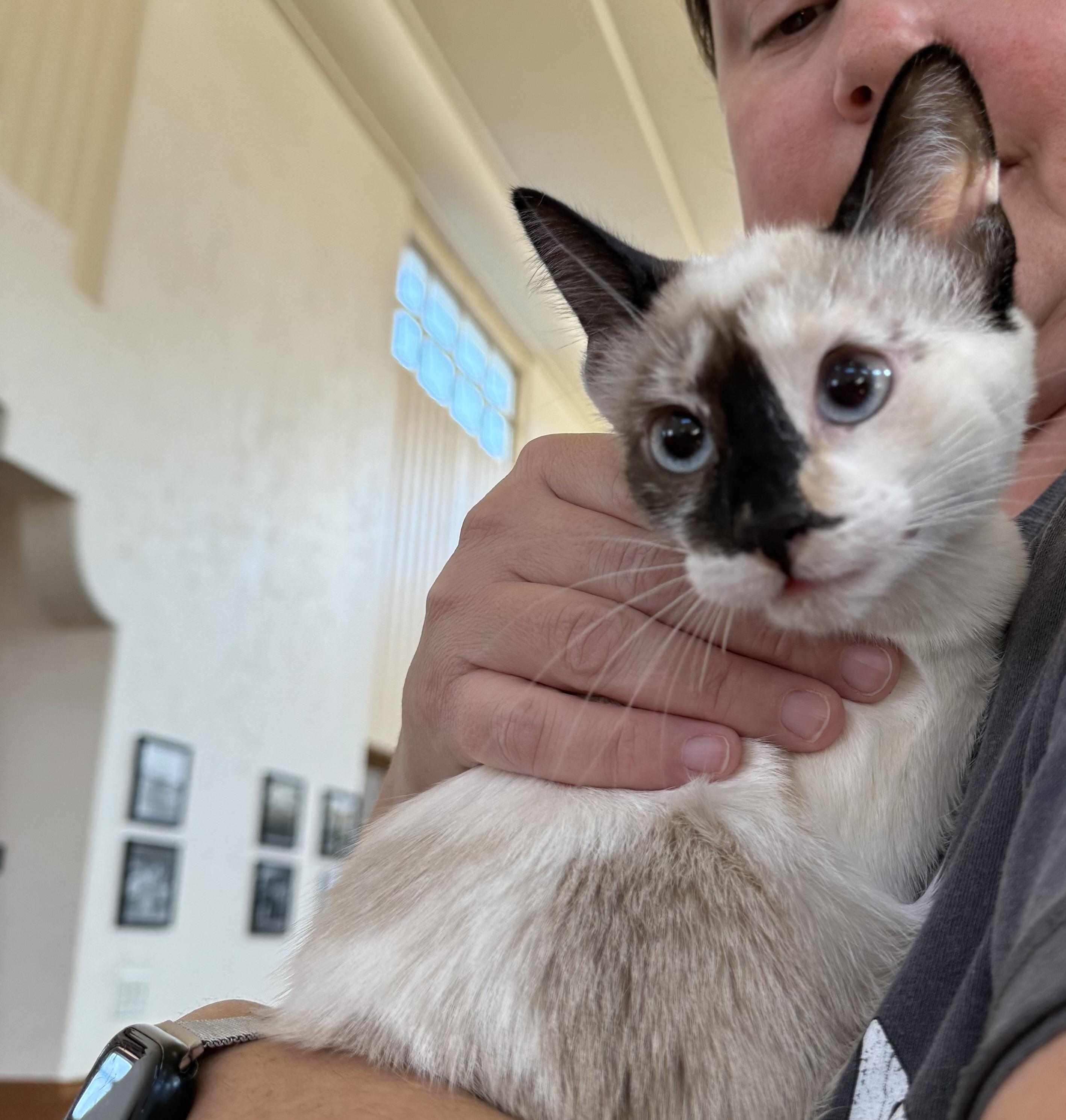 Natasha Romanoff ( Erin )