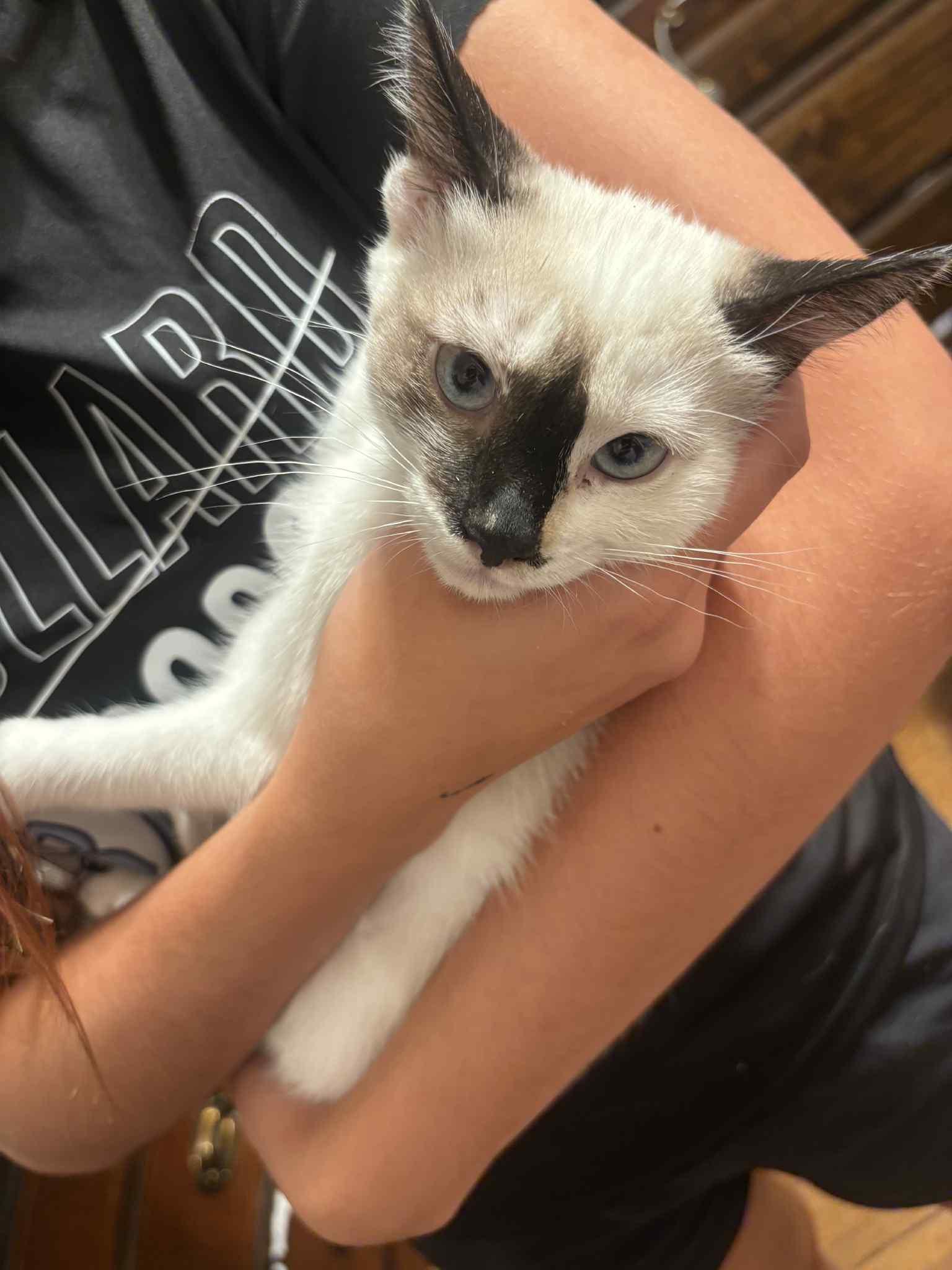 Natasha Romanoff ( Erin )