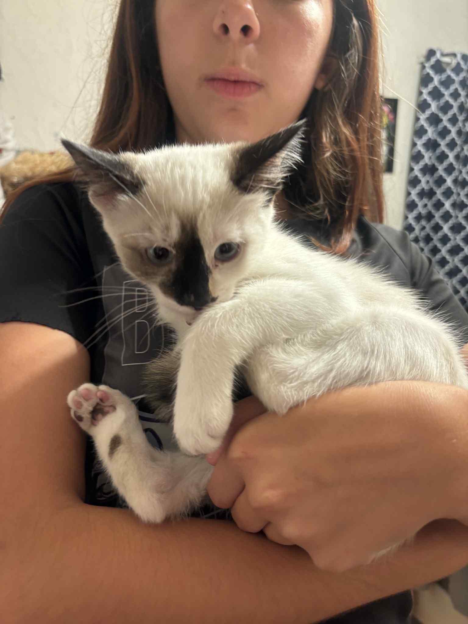 Natasha Romanoff ( Erin )