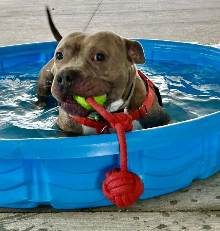 Howie