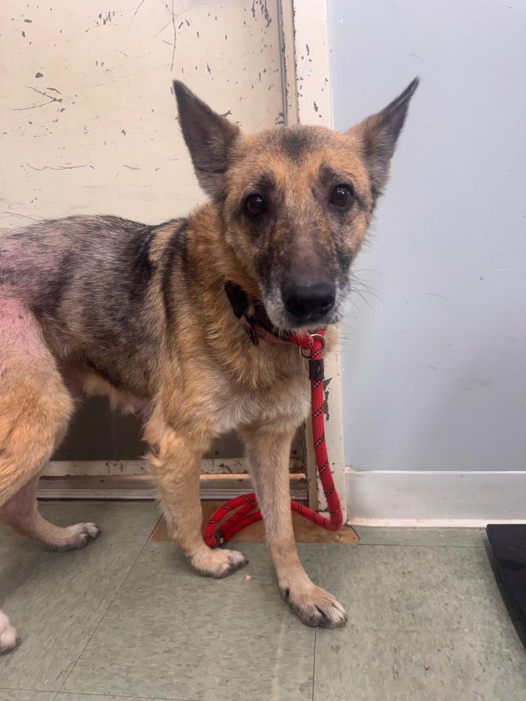 Sunny In Foster — thumbnail 5