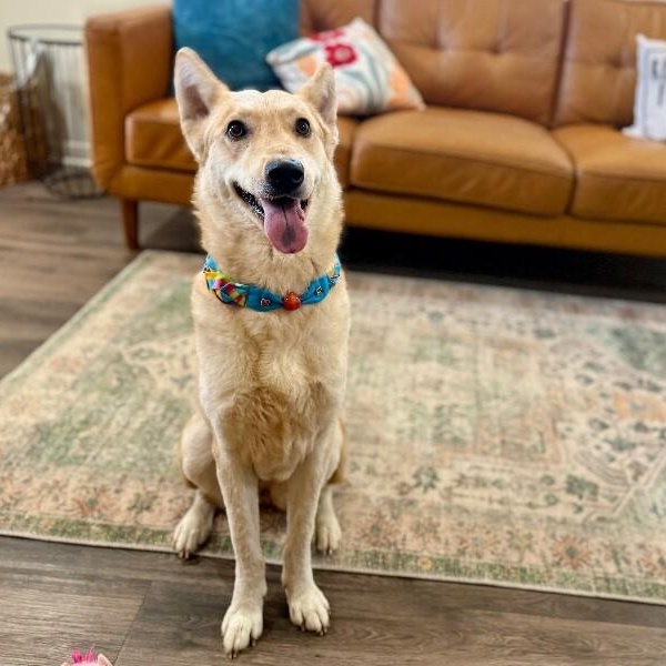 Kira Cuddles Cute — thumbnail 4