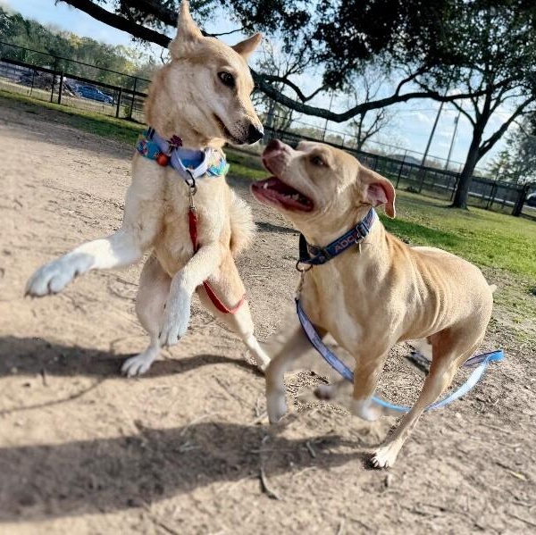 Kira Cuddles Cute — thumbnail 5