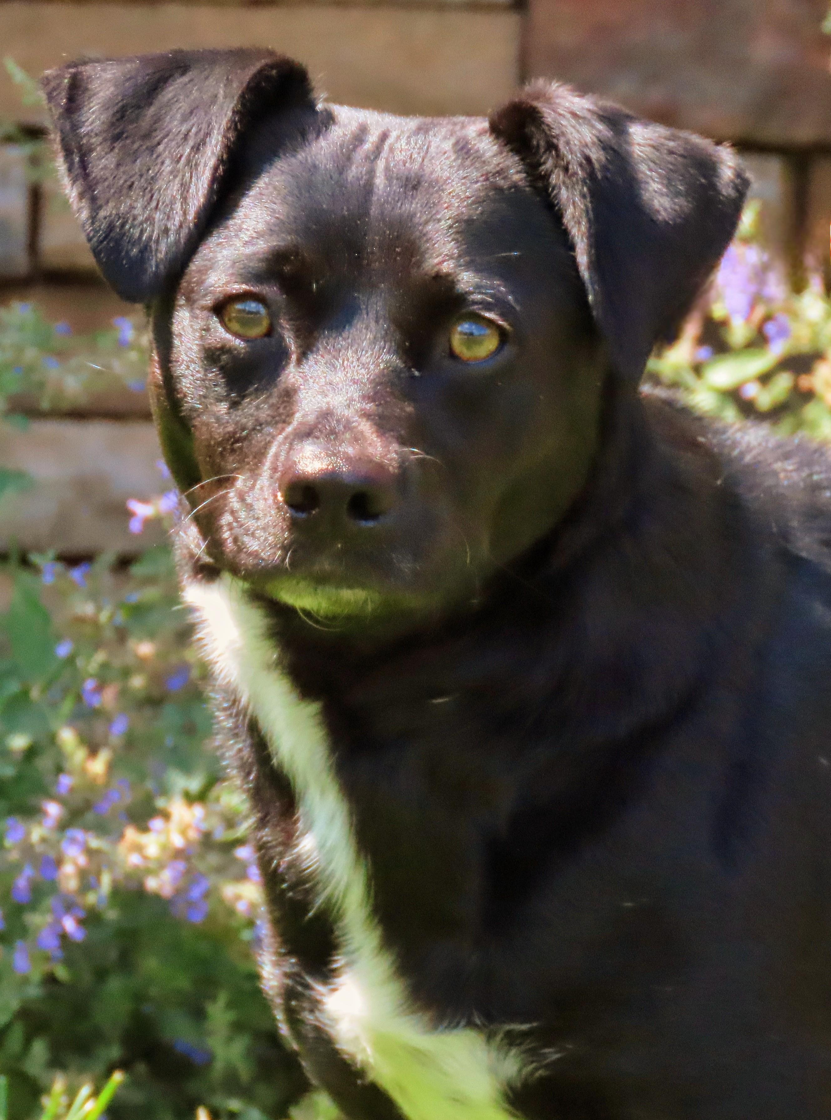 25-181 Max photo 1