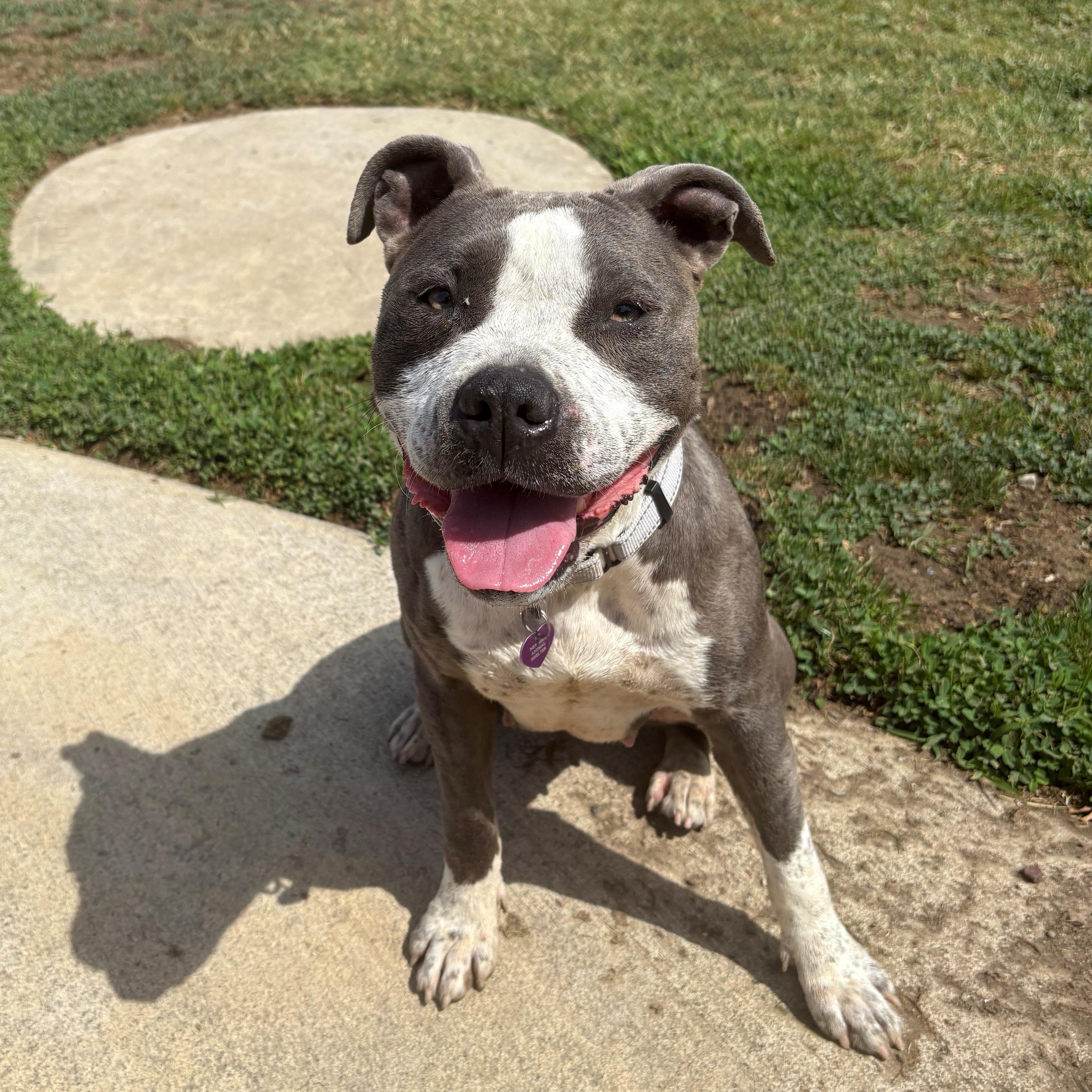 Millie