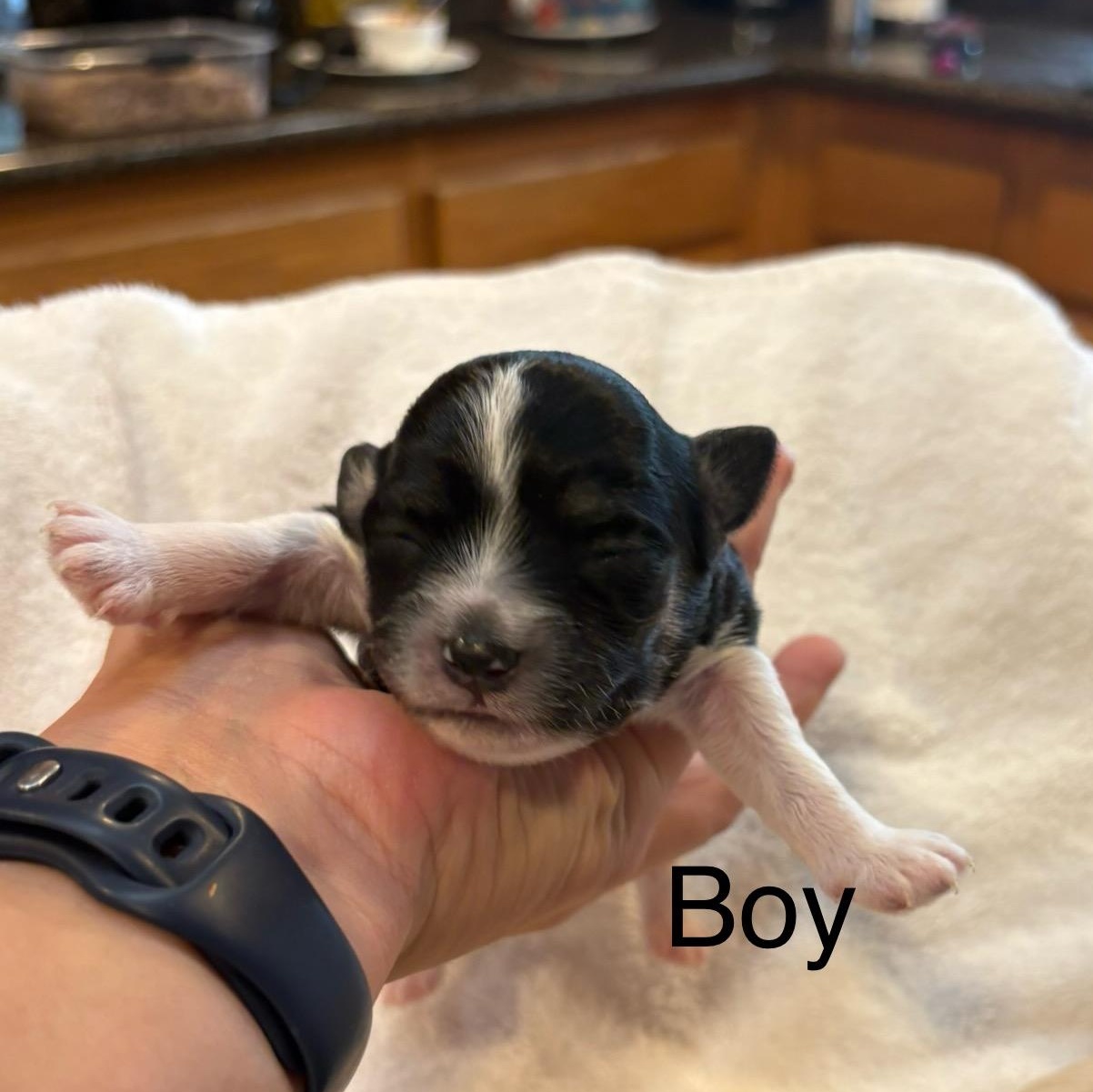 Cookie dough - please see description / Criteria