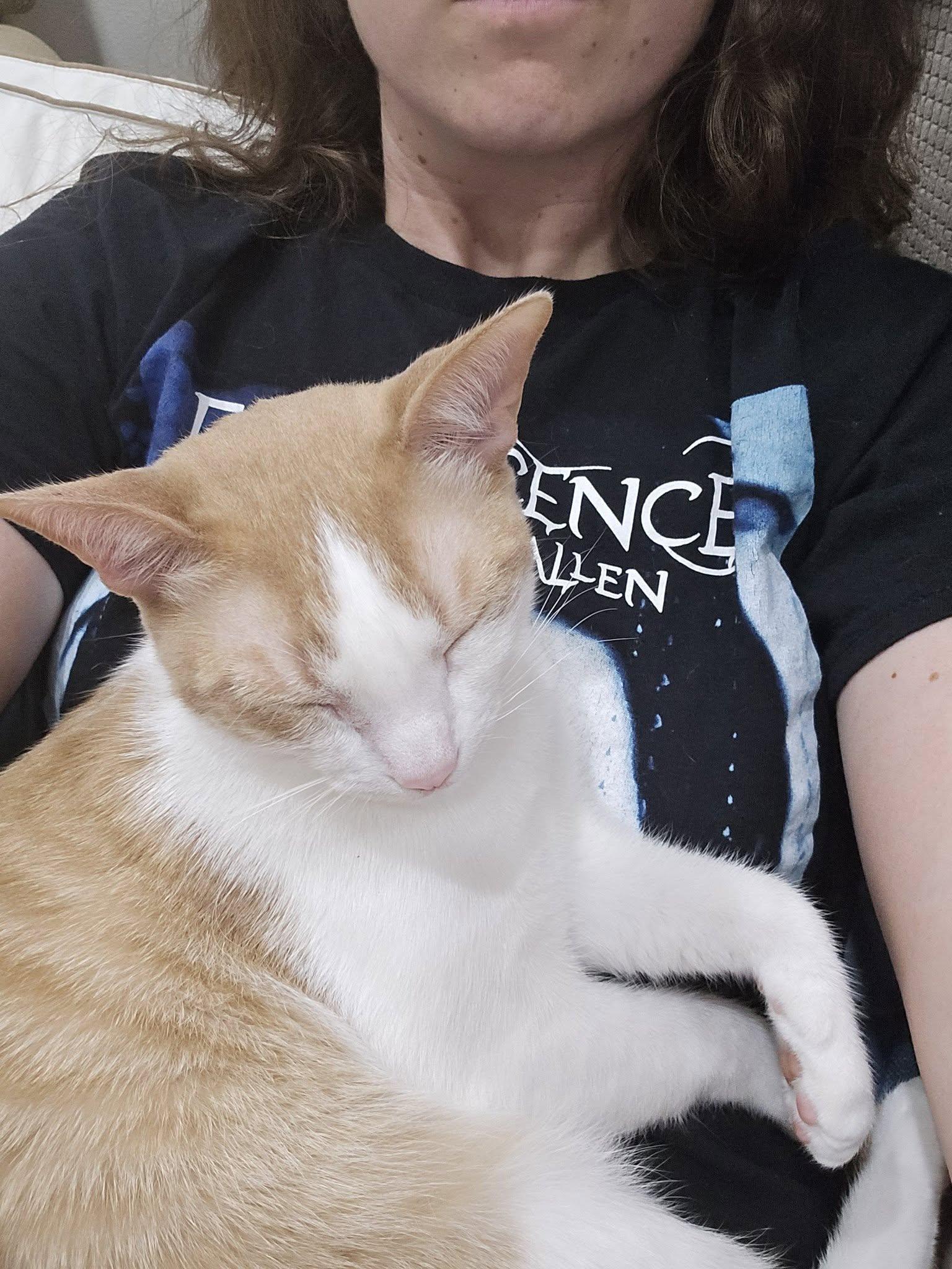 Twain — thumbnail 4