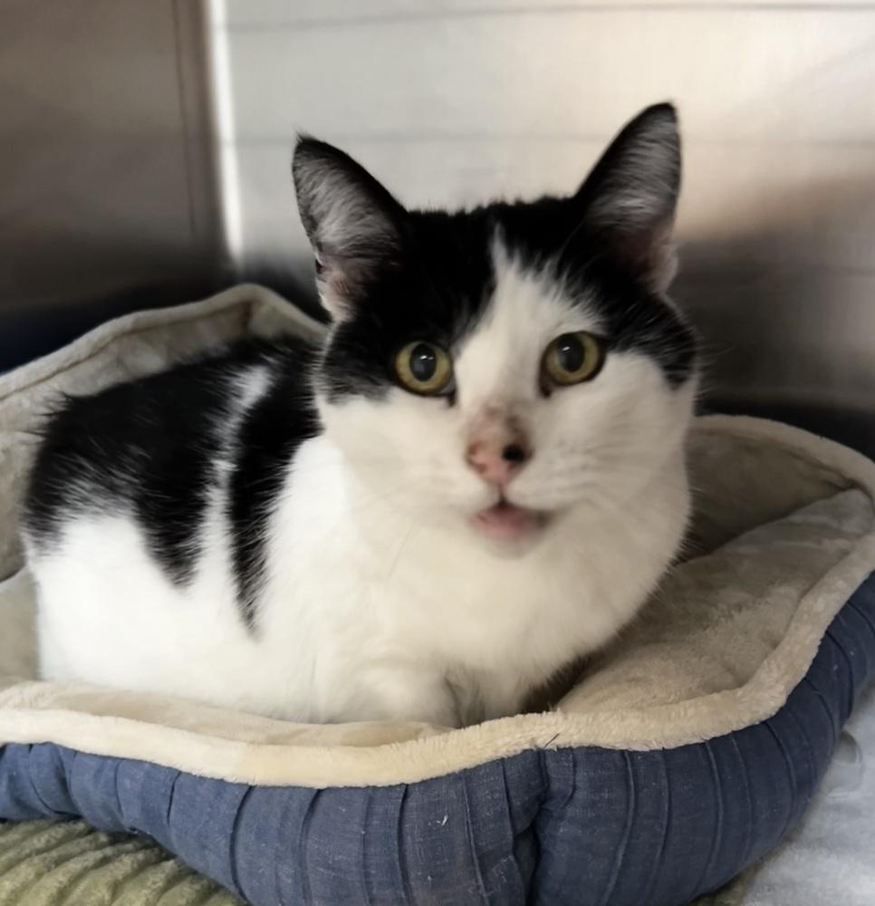 Princess thumbnail 2