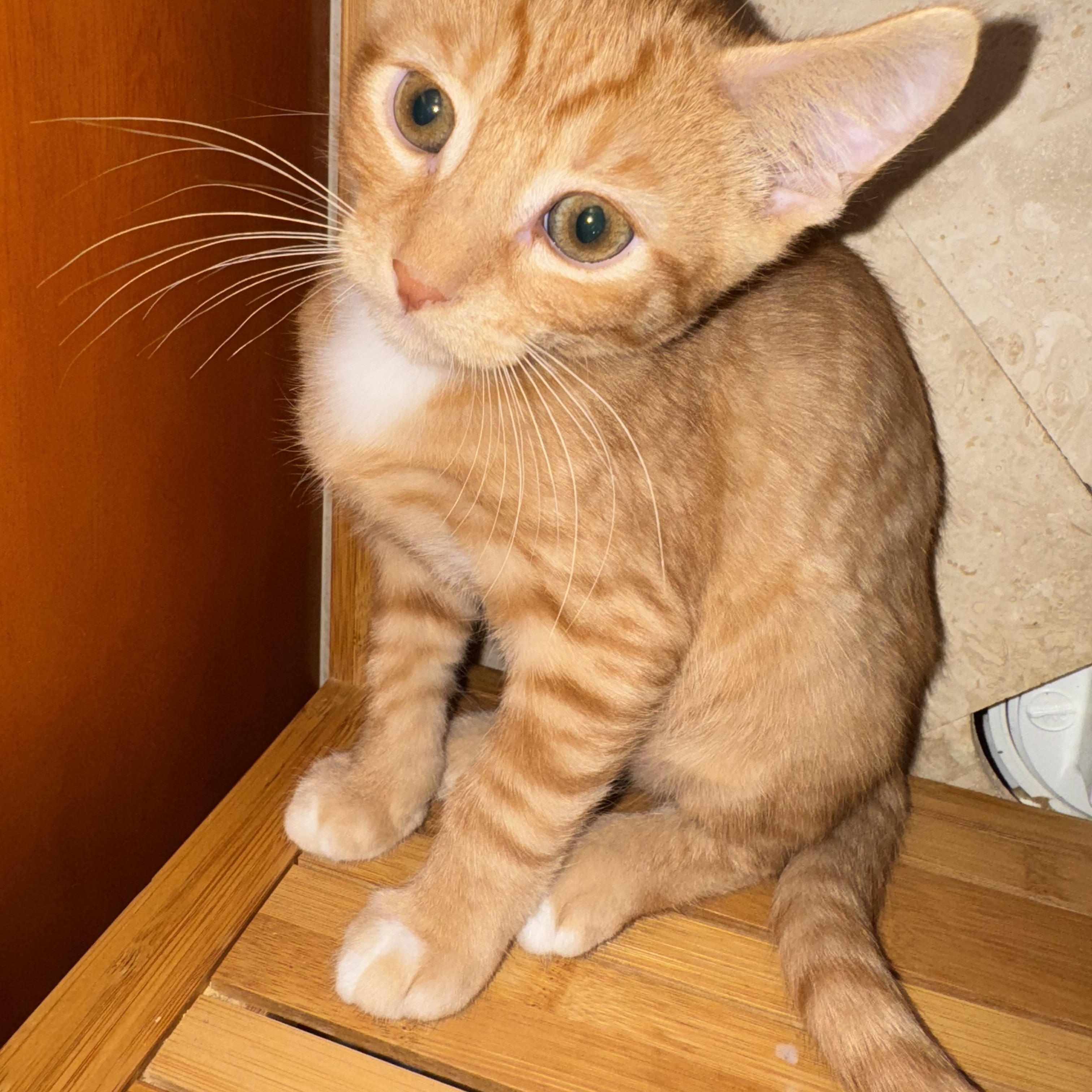 Peter photo 2