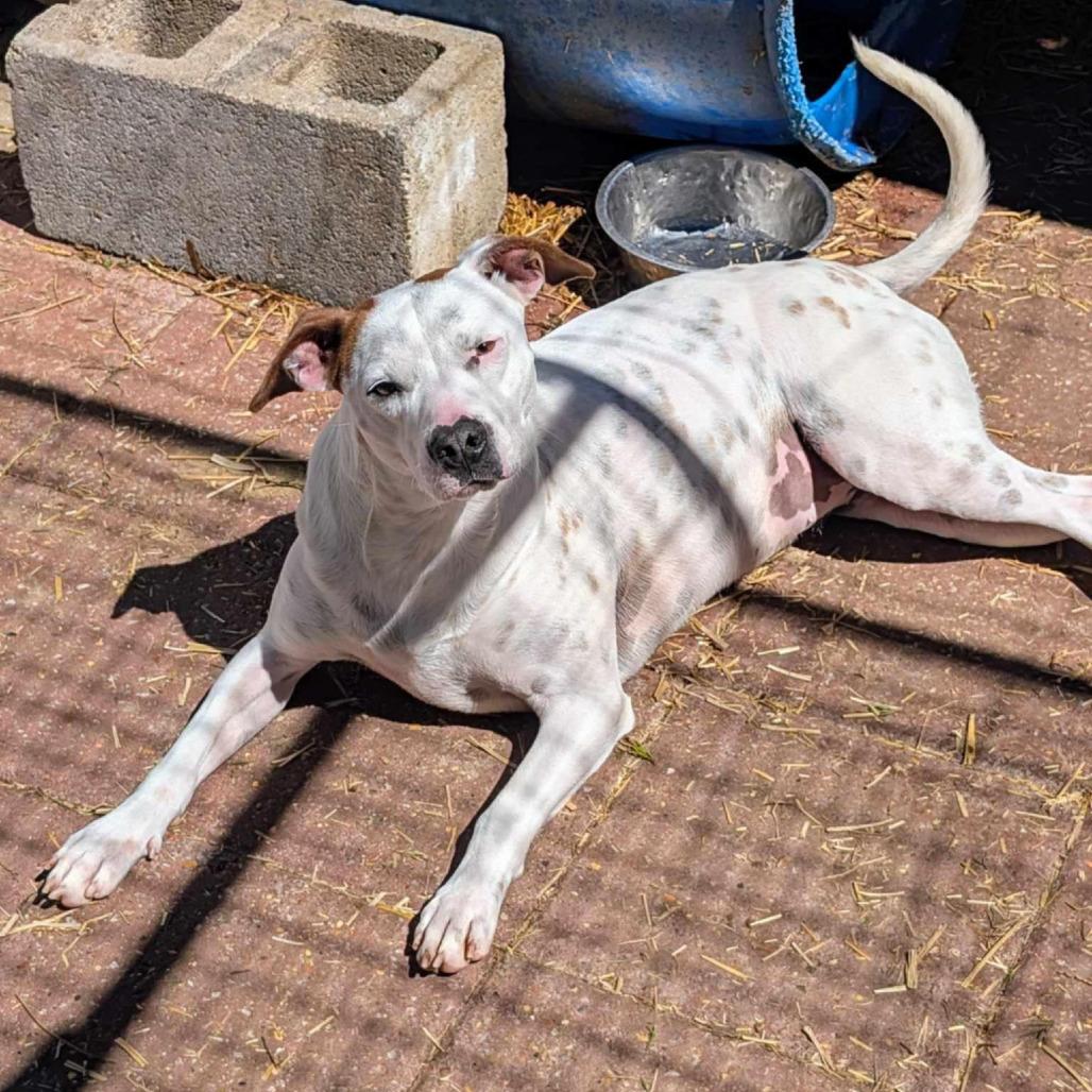 Ellie Mae — thumbnail 3