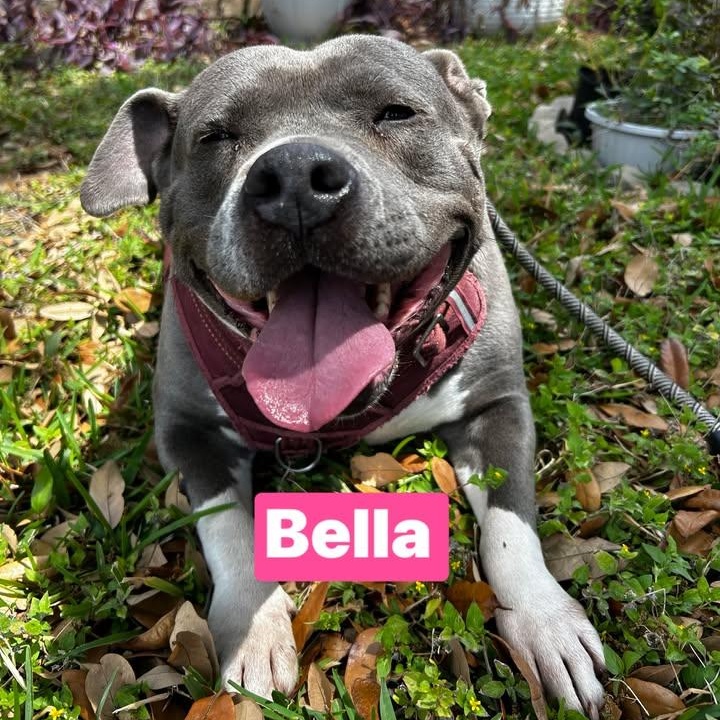 Bella photo 1
