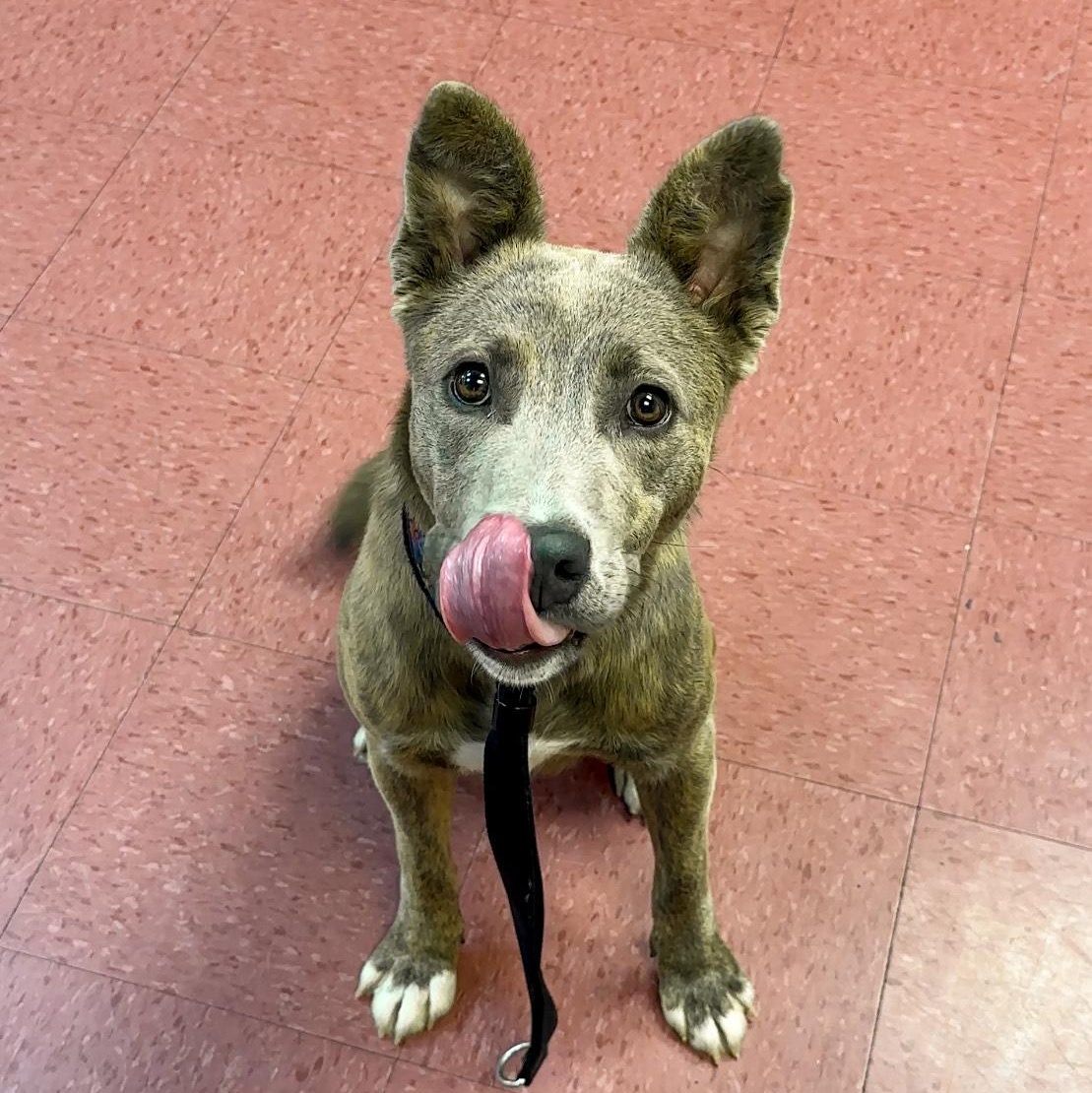 ROO