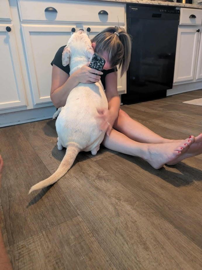 Enlarge Millie, a Adoptable mixed breed in Clayton, NC image 2/6